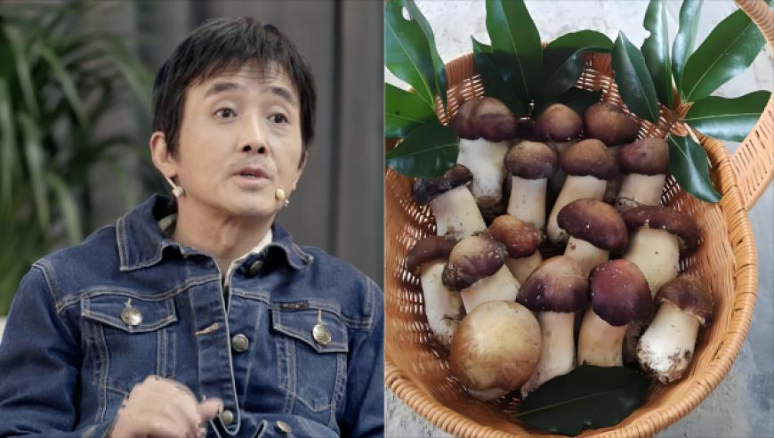 大众网官方澳门今晚开奖结果,靠腰嘞霞老师这波分析太到位了,多元化方案执行策略_枚举版V4.58
