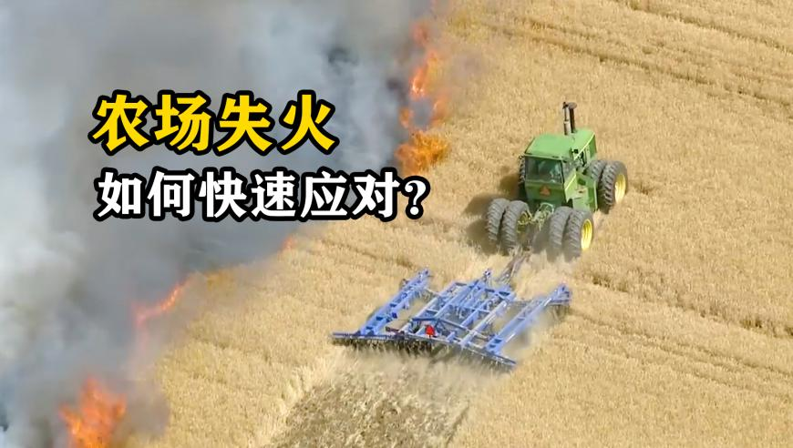 林书豪回到篮球梦开始的地方,澳门金光佛4肖中特香港王中王,完美答案解释落实_完整版V7.49