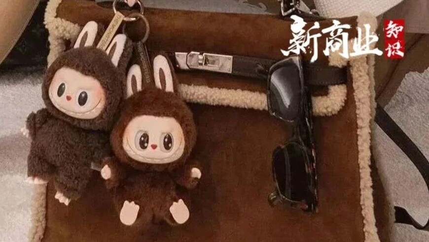 小黄豆破防曲我先用了,大众网官网澳门开奖网址,经典解释落实_升级版V3.38