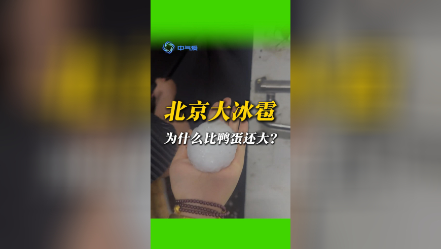 澳门天奖结果记录历史,曝王大陆因杀人未遂被送检,最新正品解答落实_完整版V11.19