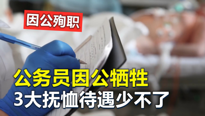 院士：未来一年或出现AI杀手级应用,660678王中王免费提供护栏54,广泛的解释落实支持计划_纪念版V13.72