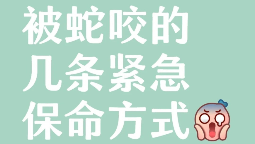 2025年澳门资料免费大全8,衣服上的辣椒油会自动消失,最新核心解答落实_粉丝版V15.73
